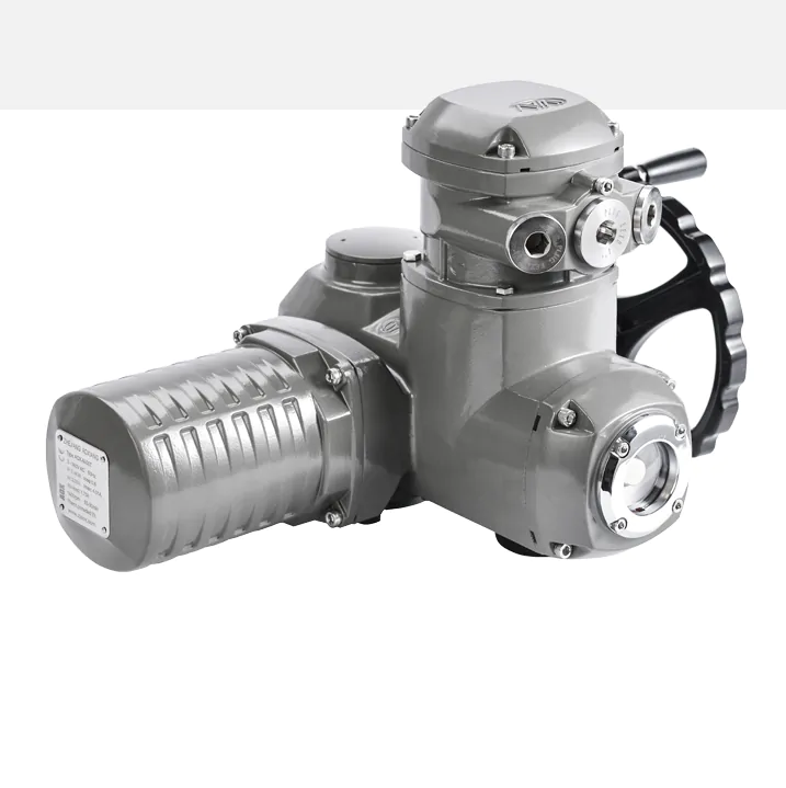 AOX-M Series Electric Actuators - Image 2